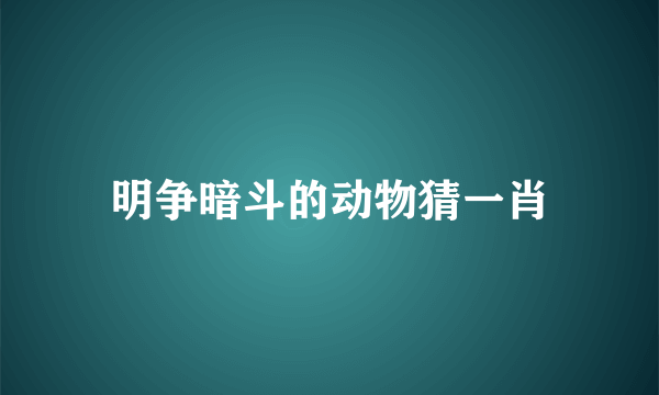 明争暗斗的动物猜一肖