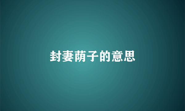 封妻荫子的意思