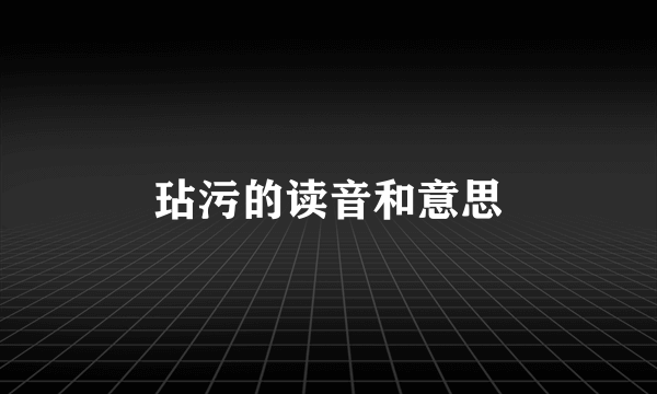 玷污的读音和意思