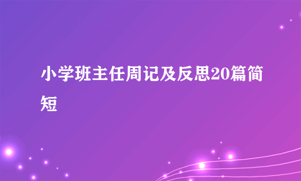 小学班主任周记及反思20篇简短