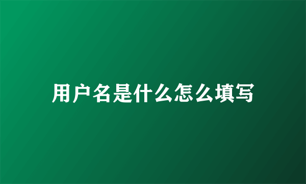 用户名是什么怎么填写