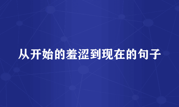 从开始的羞涩到现在的句子