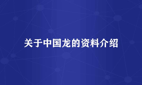 关于中国龙的资料介绍