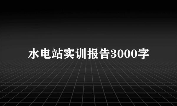 水电站实训报告3000字