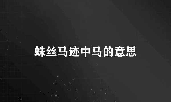 蛛丝马迹中马的意思