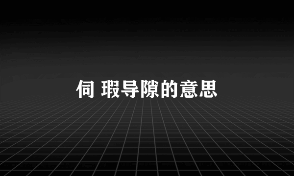 伺 瑕导隙的意思