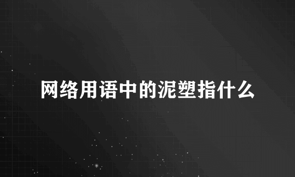 网络用语中的泥塑指什么