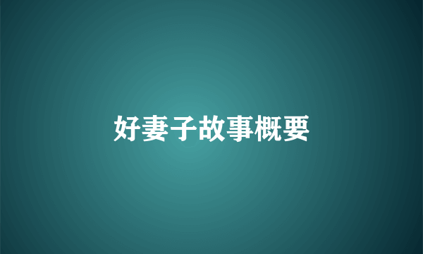 好妻子故事概要