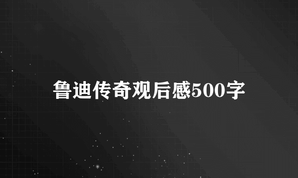 鲁迪传奇观后感500字