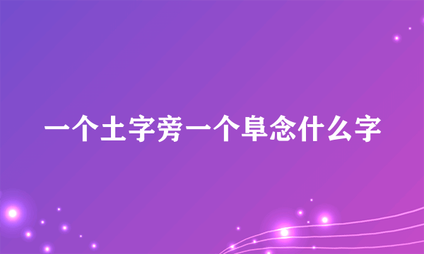 一个土字旁一个阜念什么字