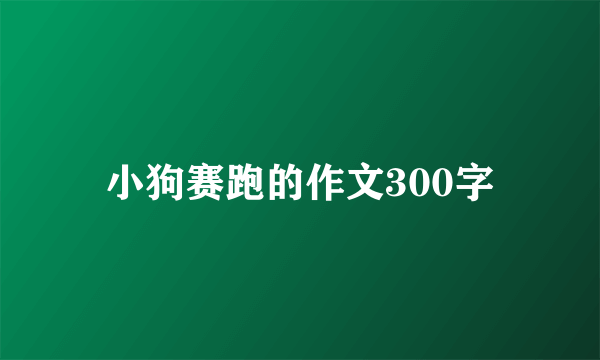 小狗赛跑的作文300字