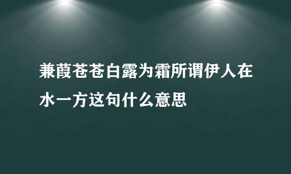 兼葭苍苍白露为霜所谓伊人在水一方这句什么意思