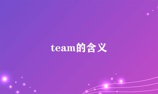 team的含义