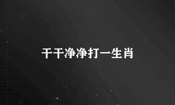 干干净净打一生肖