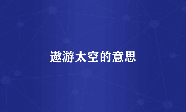 遨游太空的意思