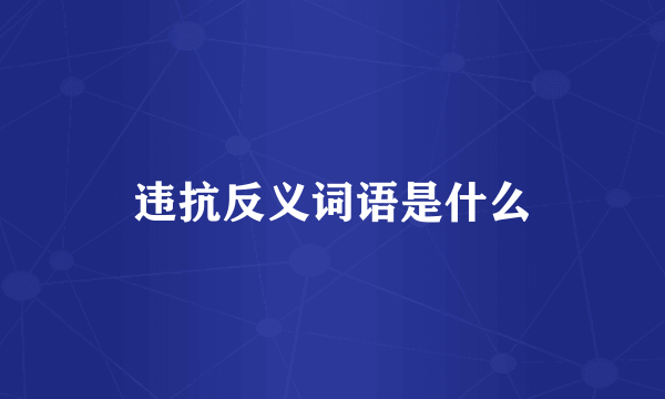 违抗反义词语是什么