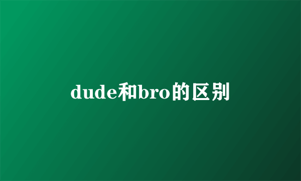 dude和bro的区别