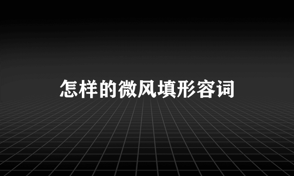 怎样的微风填形容词