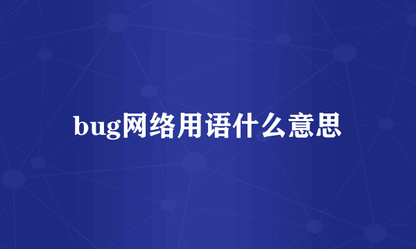 bug网络用语什么意思