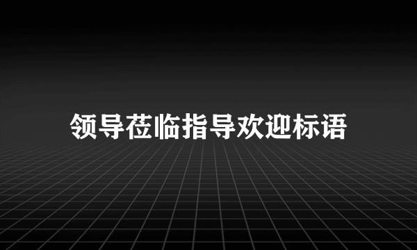 领导莅临指导欢迎标语