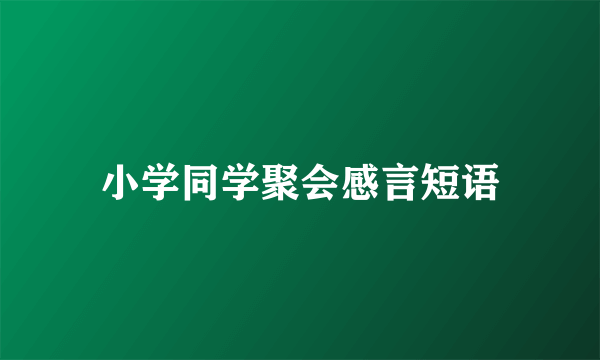 小学同学聚会感言短语