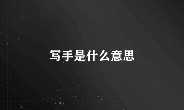 写手是什么意思
