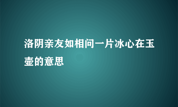 洛阴亲友如相问一片冰心在玉壶的意思