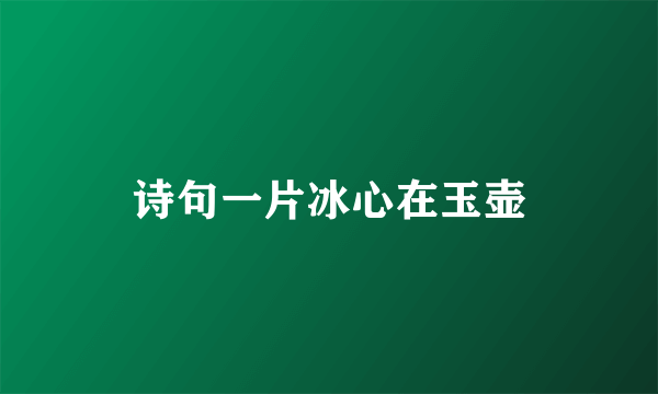 诗句一片冰心在玉壶