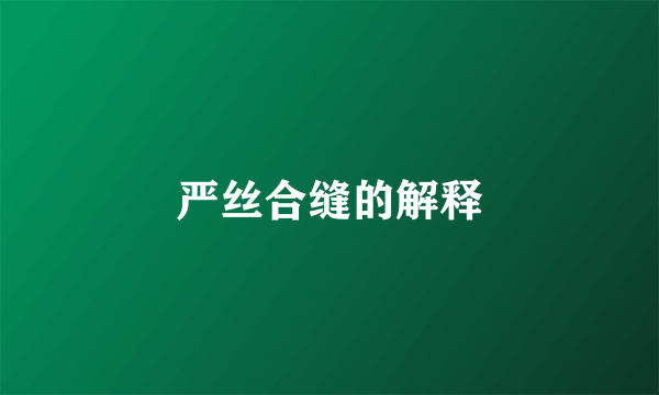 严丝合缝的解释