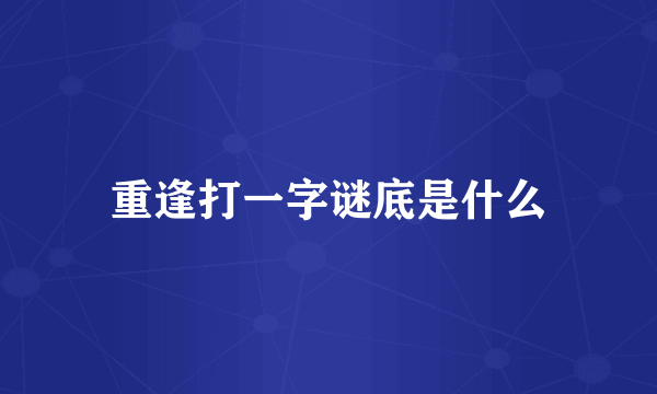 重逢打一字谜底是什么