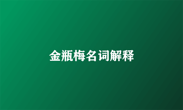 金瓶梅名词解释