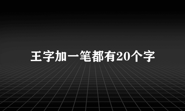 王字加一笔都有20个字