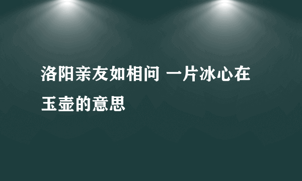 洛阳亲友如相问 一片冰心在玉壶的意思