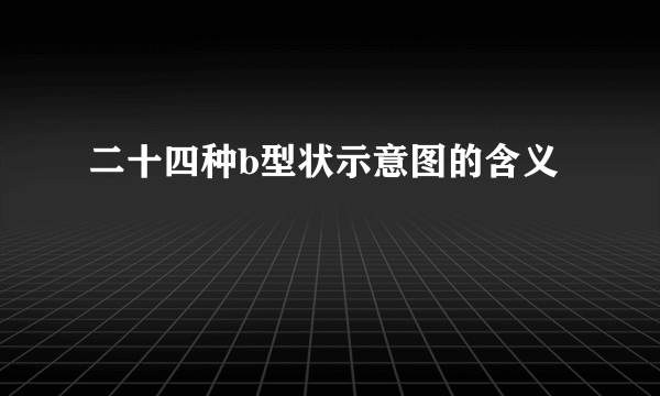 二十四种b型状示意图的含义