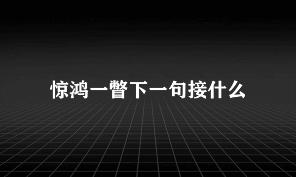 惊鸿一瞥下一句接什么