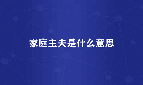 家庭主夫是什么意思