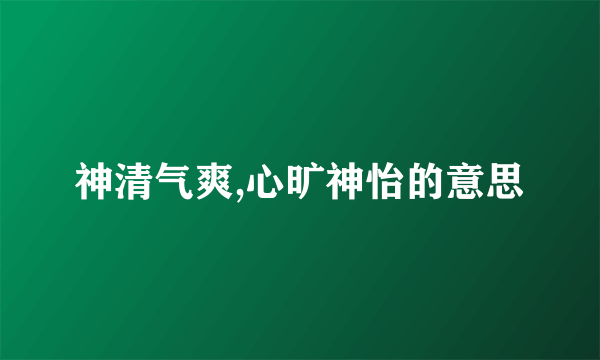 神清气爽,心旷神怡的意思