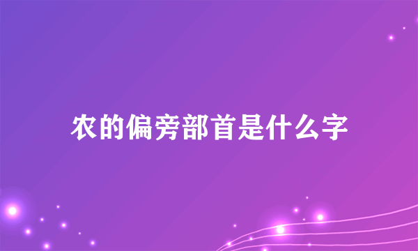 农的偏旁部首是什么字