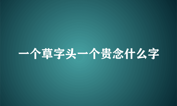 一个草字头一个贵念什么字
