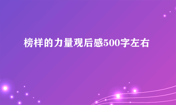 榜样的力量观后感500字左右