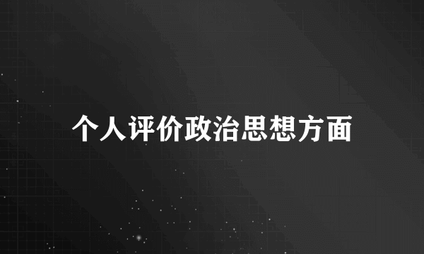 个人评价政治思想方面