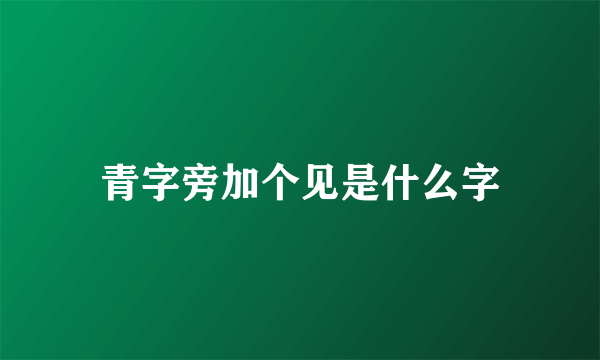 青字旁加个见是什么字