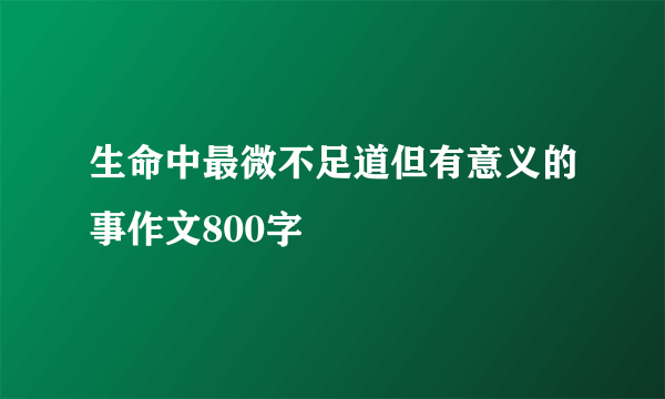 生命中最微不足道但有意义的事作文800字
