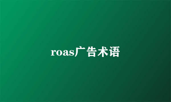 roas广告术语