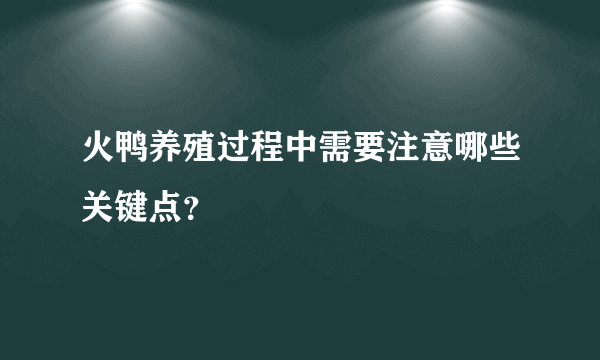 火鸭养殖过程中需要注意哪些关键点？