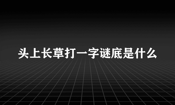 头上长草打一字谜底是什么