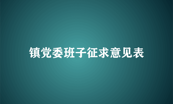 镇党委班子征求意见表