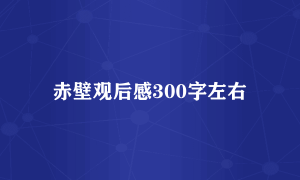 赤壁观后感300字左右