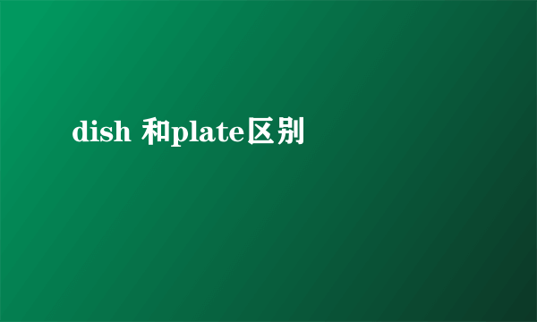 dish 和plate区别