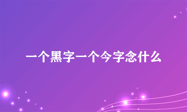 一个黑字一个今字念什么
